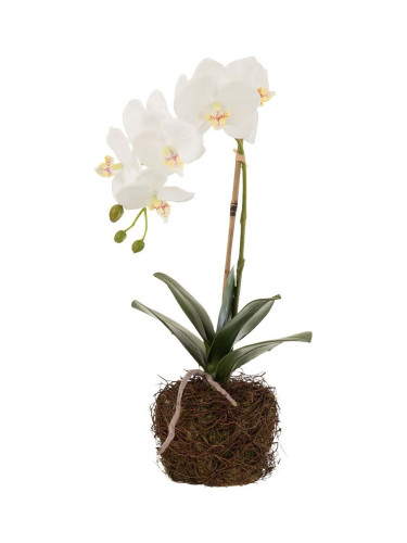 Изкуствено растение J-Line Orchid In Soil