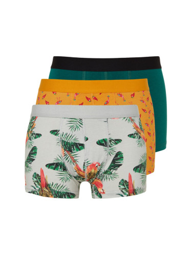 Trendyol Multicolored 3-Piece Tropical Patterned-Flat Pack Cotton Boxers