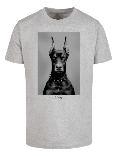 Men's T-shirt Dawg grey