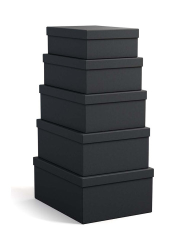 Комплект кутии за съхранение Bigso Box of Sweden Joel (5 броя)