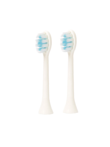 ZOBO Replacement heads for electric toothbrush DT1013. White color
2pcs/pack. Аксесоари унисекс  