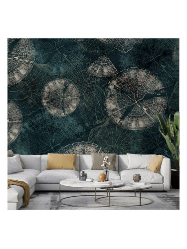 Фототапет - Дървена мистерия