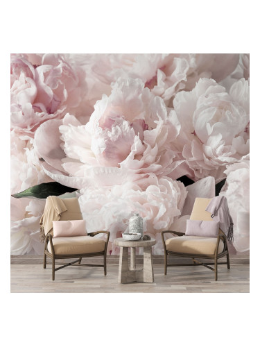 Фототапет Розови божури