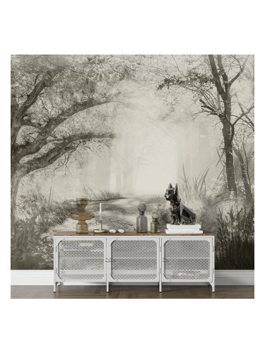 Фототапет с пейзаж - Утринна мъгла