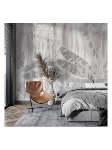 Фототапет Бланко 