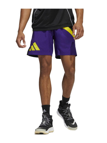 ADIDAS Performance Galaxy Basketball Shorts Multicolor