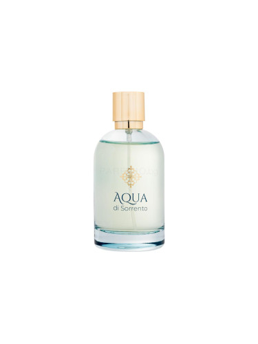 Aqua di Sorrento Posillipo Eau de Parfum за мъже 100 ml