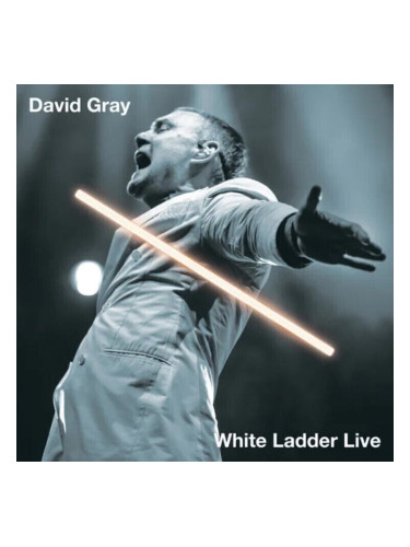 David Gray - White Ladder Live (2 LP)