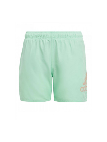 ADIDAS Logo Clx Swim Shorts Green