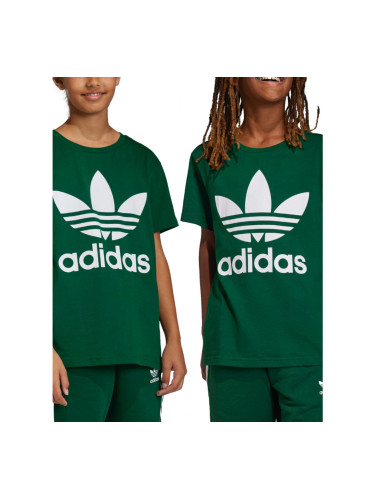 ADIDAS Originals Adicolor Trefoil Tee Green