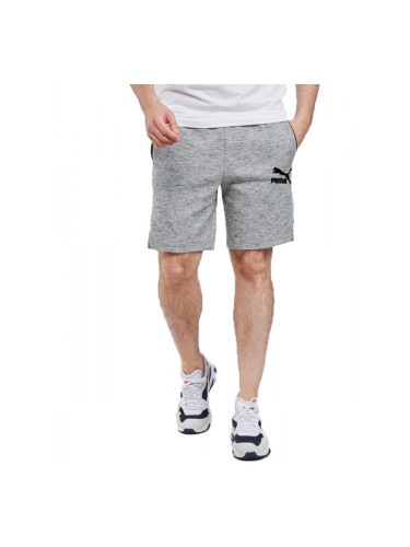 PUMA EvoTec Shorts Grey