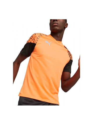 PUMA IndividualCUP Football Tee Orange/Black