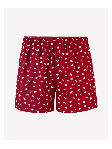 Celio Jiwouette Briefs - Men's