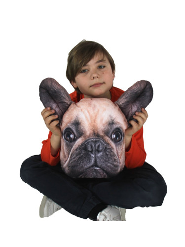 Bertoni Home Unisex's Dog Pillow Boss