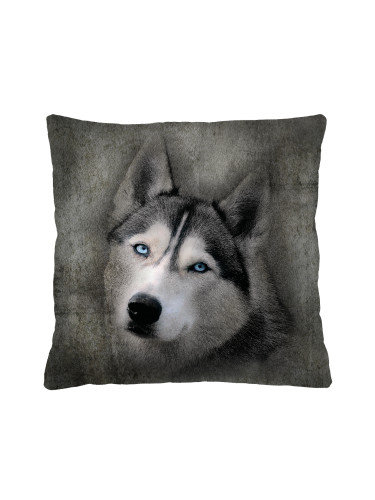 Bertoni Home Unisex's Square Pillow Husky