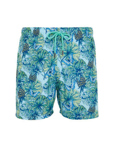 Trendyol Blue Standard Size Pineapple Printed Swim Shorts