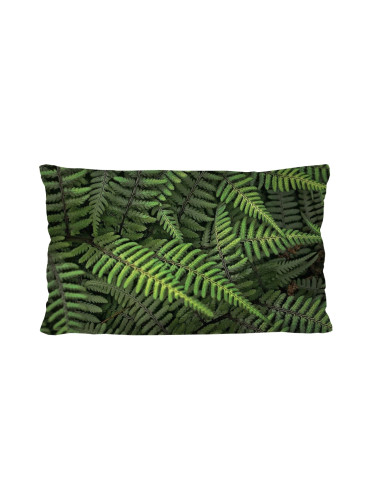 Bertoni Home Unisex's Rectangular Pillow Ferns