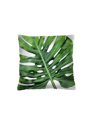 Bertoni Home Unisex's Square Pillow Galapagos Day