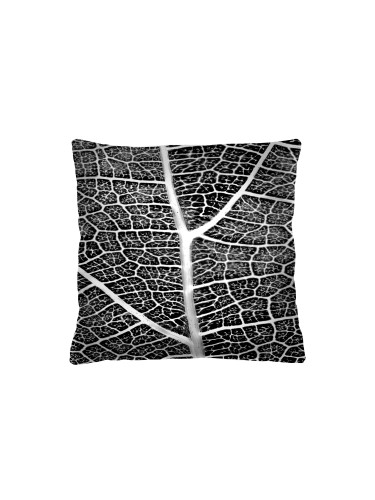 Bertoni Home Unisex's Square Pillow Tkanka