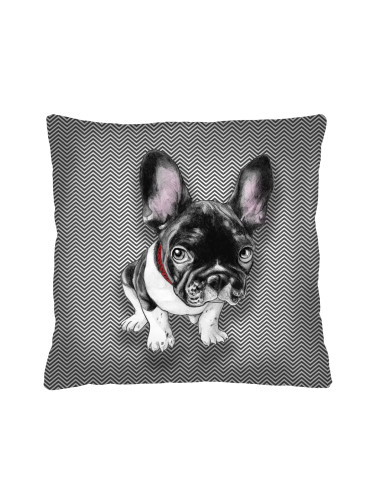 Bertoni Home Unisex's Square Pillow Chester