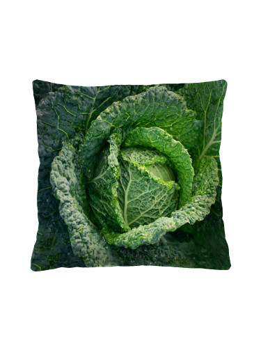 Bertoni Home Unisex's Square Pillow Cabbage