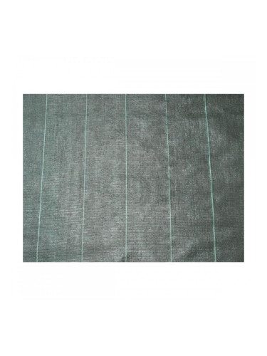 Anti-weed netting Nature (3,30 x 5 m)