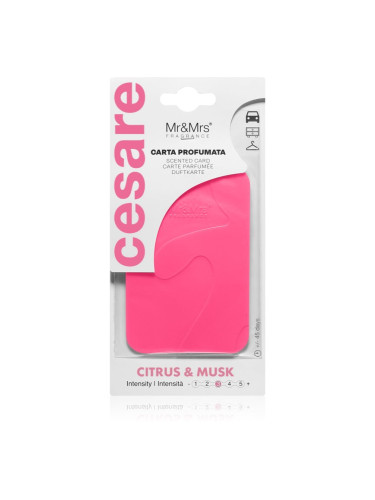 Mr & Mrs Fragrance Cesare Citrus & Musk ароматизирана свещ 1 бр.