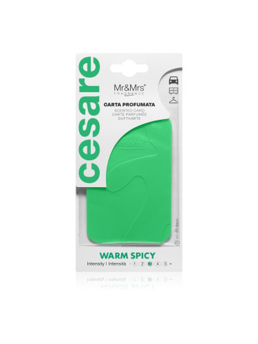 Mr & Mrs Fragrance Cesare Warm Spicy ароматизирана свещ 1 бр.