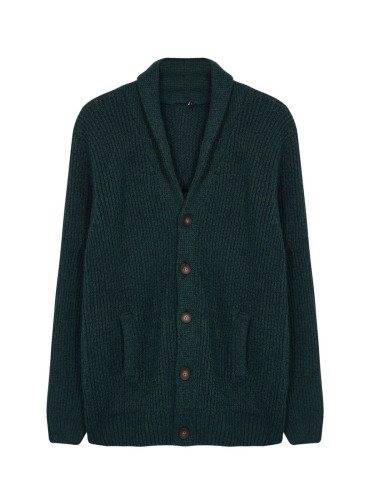 Trendyol Emerald Green FL Men's Regular Shawl Collar Melted Knitwear Cardigan