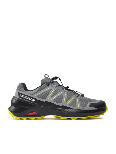 Salomon Маратонки за бягане Speedcross Peak L47602600 Сив