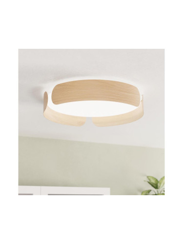 Eglo 99622 - LED Лампа VALCASOTTO LED/24W/230V