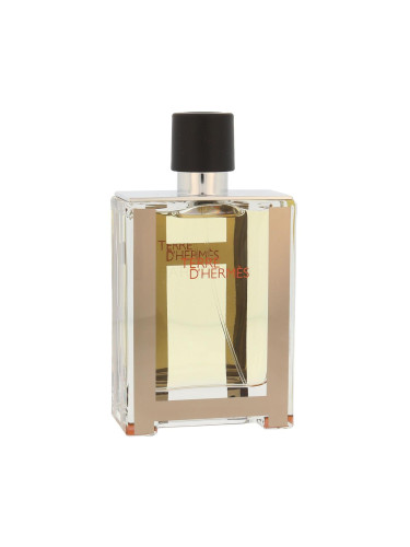 Hermes Terre d´Hermès Eau de Toilette за мъже 100 ml ТЕСТЕР