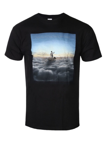 Pink Floyd Риза Endless River Black 2XL