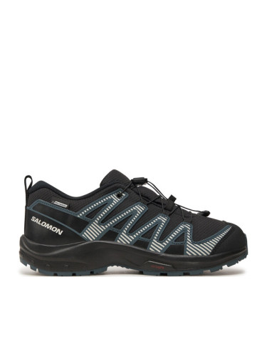 Salomon Туристически Xa Pro V8 Waterproof L47568000 Черен