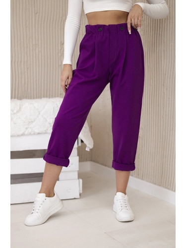 Punto Milano Winter trousers dark purple