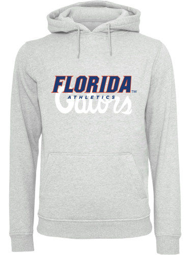 Men's sweatshirt Florida Gators Logo Hoodie gray