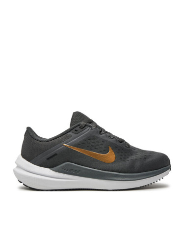 Nike Маратонки за бягане Winflo 10 DV4023 005 Черен