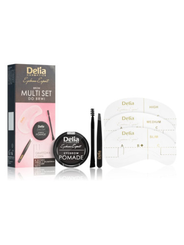 Delia Cosmetics Eyebrow Expert Zest комплект за оформяне на вежди цвят 1.1 Graphite Black 1 бр.