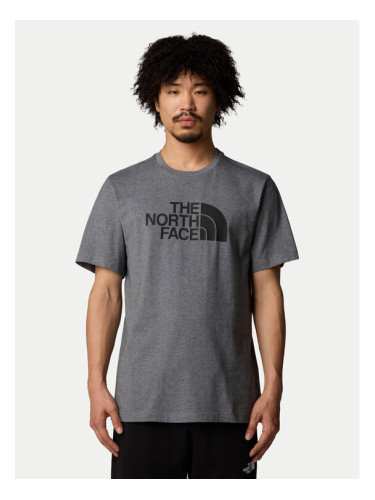 The North Face Тишърт Easy NF0A8A6C Сив Regular Fit