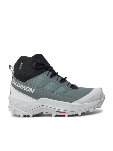 Туристически Salomon Crosstrak Waterproof L47570400 Зелен