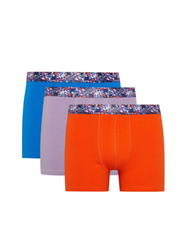 DEFACTO Regular Fit 3-Piece Boxer