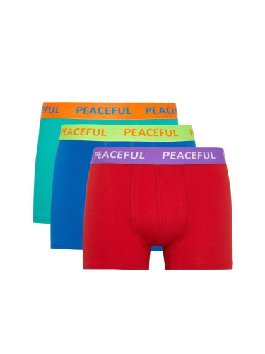 DEFACTO Regular Fit 3-Piece Boxer