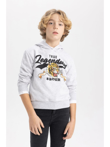 DEFACTO Boy's Hooded Printed Sweatshirt