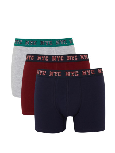 DEFACTO Regular Fit 3-Pack Boxer