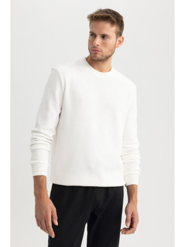 DEFACTO Regular Fit Crew Neck Basic Sweatshirt