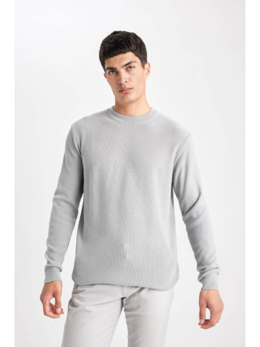 DEFACTO Standard Fit Crew Neck Sweater