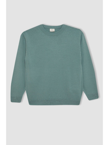 DEFACTO Boy Light Green Crew Neck Basic Plain Knitwear Sweater