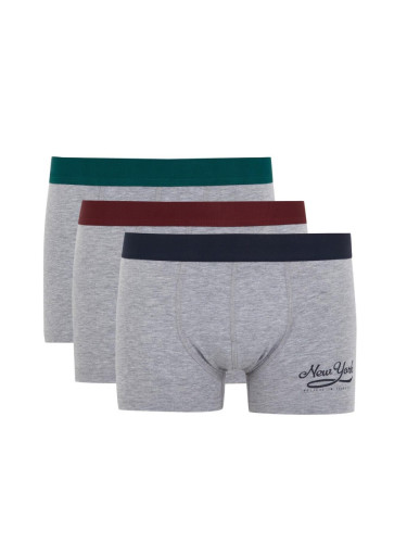 DEFACTO Regular Fit 3-pack Boxer