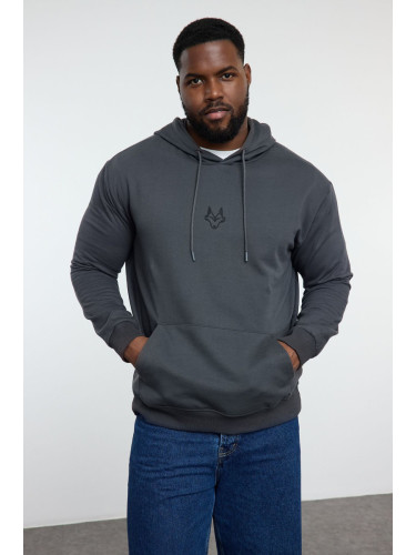 Trendyol Plus Size Anthracite Regular/Normal Cut Hooded Sweatshirt with Polar Fleece Inside