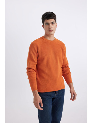 DEFACTO Standard Fit Crew Neck Sweater